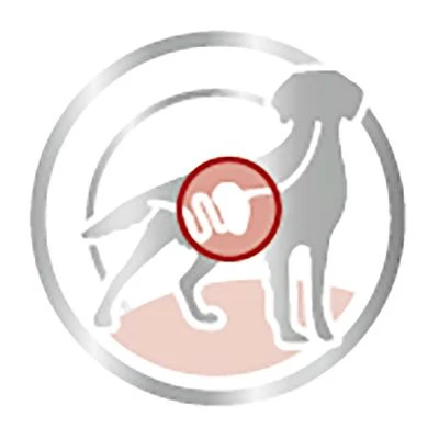 Royal Canin Medium Adult en salsa para perros Royal Canin Medium Adult En Salsa Para Perros -Bravery Tienda 83016 royalcanin medium adult picto 9