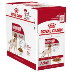 Royal Canin Medium Adult En Salsa Para Perros 4 Royal Canin Medium Adult En Salsa Para Perros -Bravery Tienda 83016 royalcanin medium adultbox c 9