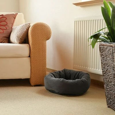 Cama Pawz & Pepper para mascotas Cama Pawz & Pepper Para Mascotas -Bravery Tienda 83764 donut zppp 841050 emotion 2 7