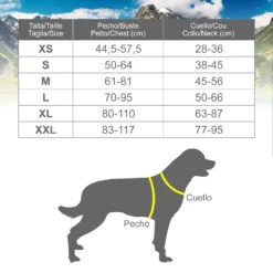 Arnés Xtreme Dog Camuflaje Azul -Bravery Tienda 8435117890411 4