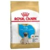 Royal Canin Carlino Puppy / Junior -Bravery Tienda 84442 pla royalcanin puppyhund pug 6