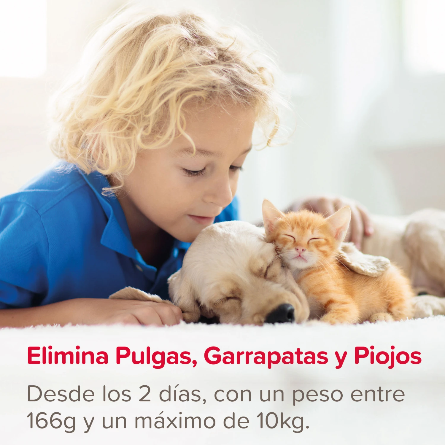 Spray Antiparasitario para Gatos y Perros (2,5mg/ml) Spray Antiparasitario Para Gatos Y Perros (2,5mg/ml) -Bravery Tienda 8711231154081 1 64a6c495d6f86