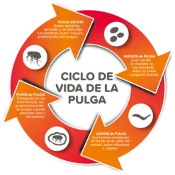 Spray Antiparasitario Para Gatos Y Perros (2,5mg/ml) 4 Spray Antiparasitario Para Gatos Y Perros (2,5mg/ml) -Bravery Tienda 8711231154081 2 64a6c495da565