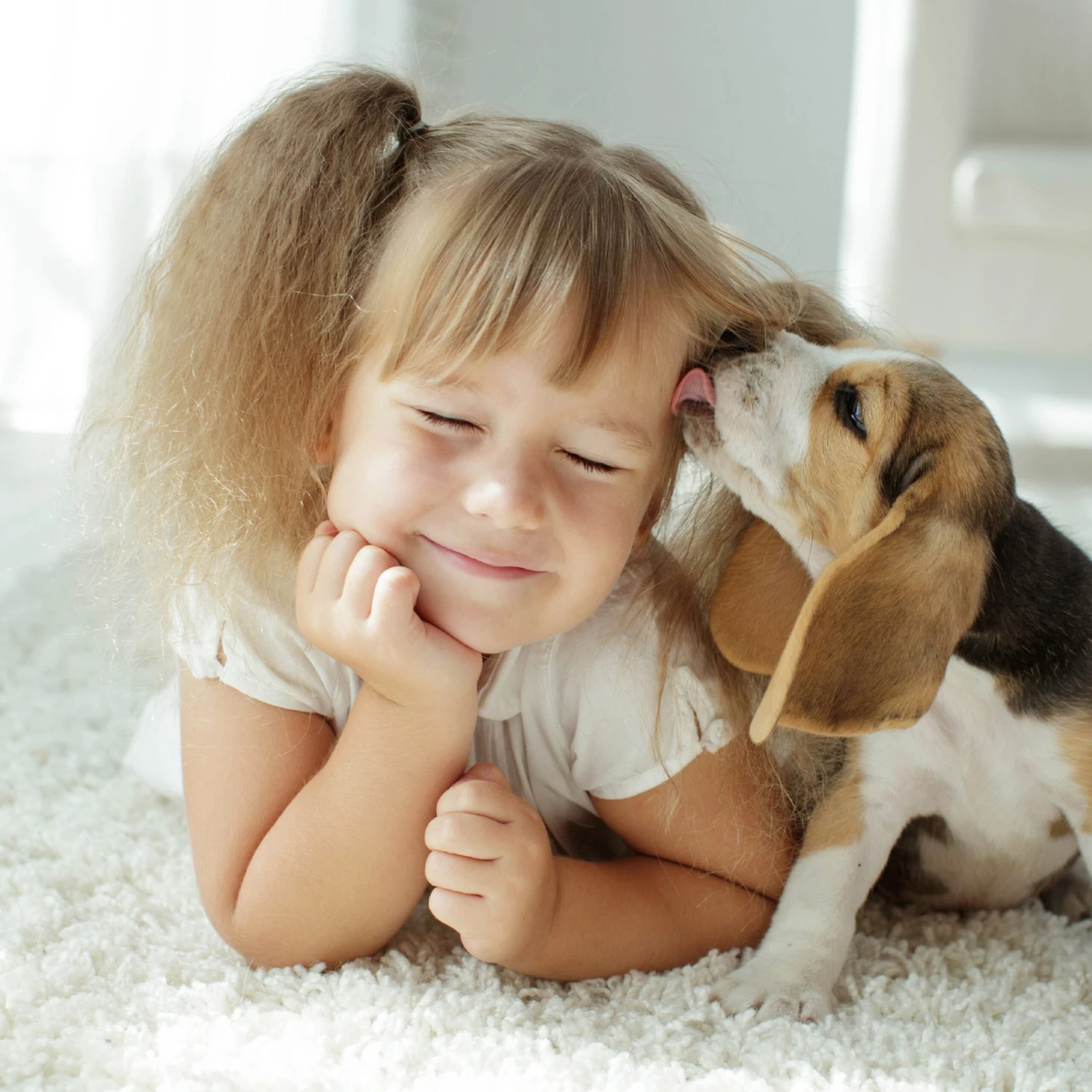 Spray Antiparasitario para Gatos y Perros (2,5mg/ml) Spray Antiparasitario Para Gatos Y Perros (2,5mg/ml) -Bravery Tienda 8711231154081 2 scaled