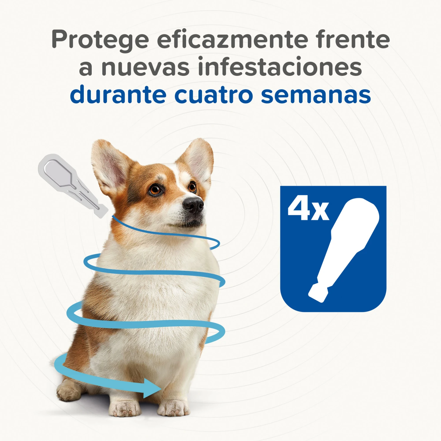 Pipeta Caniguard Duo Solución Spot-On para Perros de 4-10 Kg (67 mg/600 mg) BEAPHAR Pipeta Caniguard Duo Solución Spot-On Para Perros De 4-10 Kg (67 Mg/600 Mg) -Bravery Tienda 8711231170432 2 64c78c207bfc5
