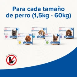 BEAPHAR Pipeta Caniguard Duo Solución Spot-On Para Perros De 4-10 Kg (67 Mg/600 Mg) 7 BEAPHAR Pipeta Caniguard Duo Solución Spot-On Para Perros De 4-10 Kg (67 Mg/600 Mg) -Bravery Tienda 8711231170432 5 64c78c2080fe1