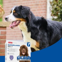 BEAPHAR Pipeta Caniguard Duo Solución Spot-On Para Perros De +40 Kg (402 Mg/3.600 Mg) -Bravery Tienda 8711231170463 4 64a6c5d4a6b4f
