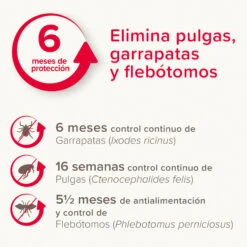 BEAPHAR Collar Canishield Antiparásitos Para Perros Pequeños -Bravery Tienda 8711231172344 2 64c78cbf1d7be