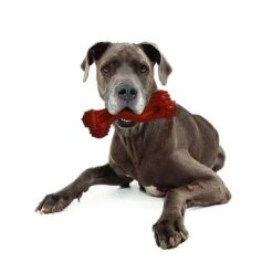 Hueso Nylabone Dura Chew Monster Aroma A Bisonte 5 Hueso Nylabone Dura Chew Monster Aroma A Bisonte -Bravery Tienda 94898 nylabone durra chew monster hs 05 1