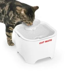 Bebedero Fuente Cat Mate Concha De Pet Mate 5 Bebedero Fuente Cat Mate Concha De Pet Mate -Bravery Tienda 95720 cat mate shell pet fountain hs 02 2 9