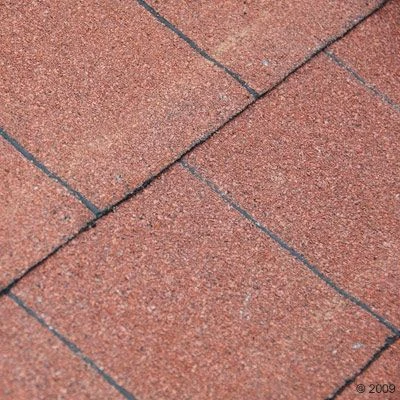 Caseta para perros Spike Special Caseta Para Perros Spike Special -Bravery Tienda 98853 5 detail 1