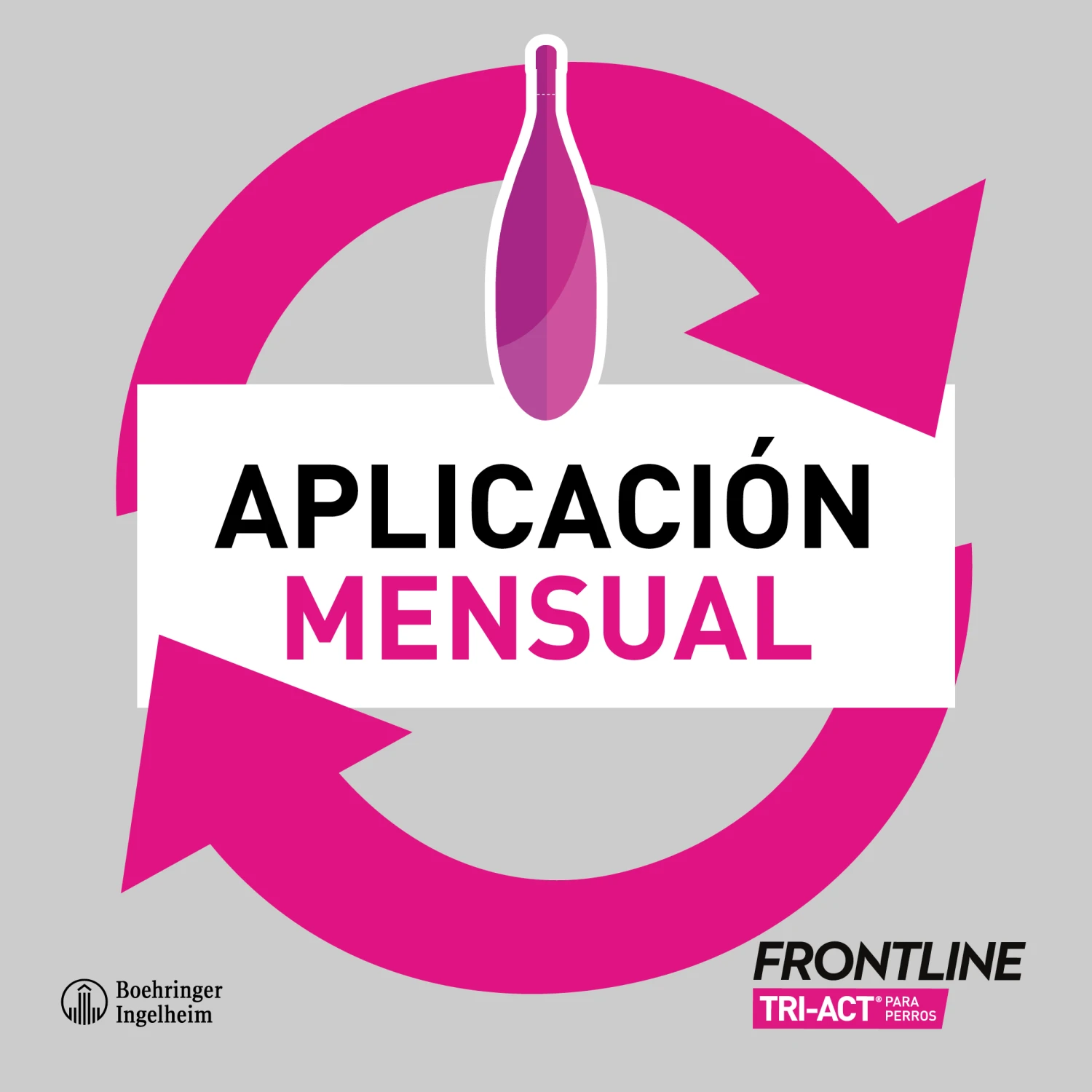 Pipetas Tri-Act Solución Spot-On para Perros de 40-60 Kg Frontline Pipetas Tri-Act Solución Spot-On Para Perros De 40-60 Kg -Bravery Tienda Aplic2 6267f62378d8f