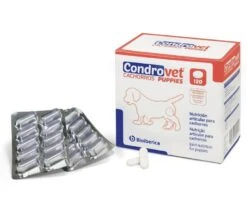 Condrovet Force HA Cachorros Condroprotector Articular