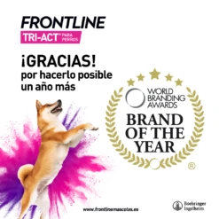 Frontline Pipetas Tri-Act Solución Spot-On Para Perros De 5-10 Kg 6 Frontline Pipetas Tri-Act Solución Spot-On Para Perros De 5-10 Kg -Bravery Tienda Brand 6267f62ed0e36