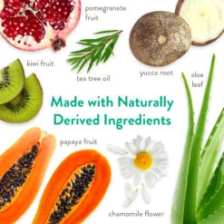 Tropiclean Champú Avena Y árbol De Té 4 Tropiclean Champú Avena Y árbol De Té -Bravery Tienda Champu de Avena y Arbol de Te 2 6357e7d8aa669