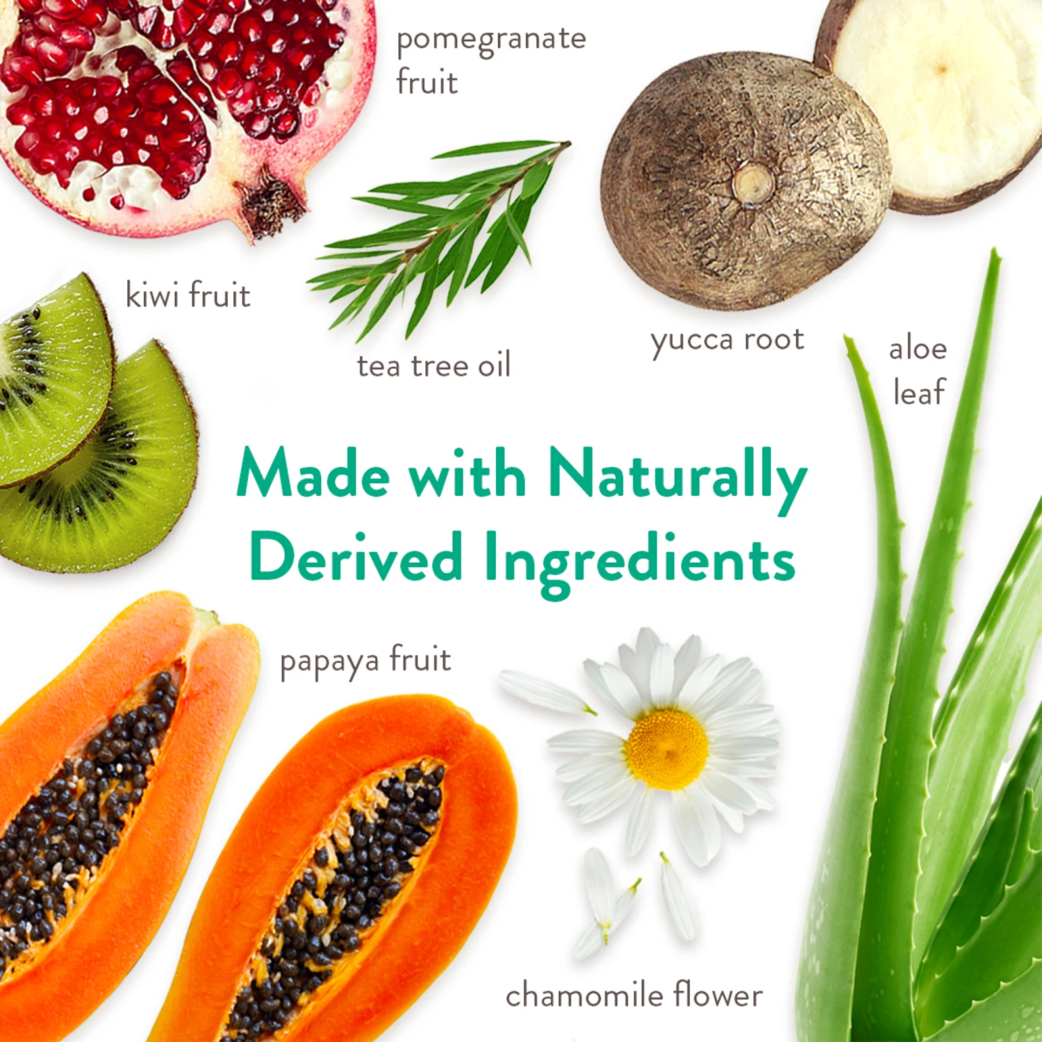 Champú avena y árbol de té Tropiclean Champú Avena Y árbol De Té -Bravery Tienda Champu de Avena y Arbol de Te 2 6357e7d8aa669