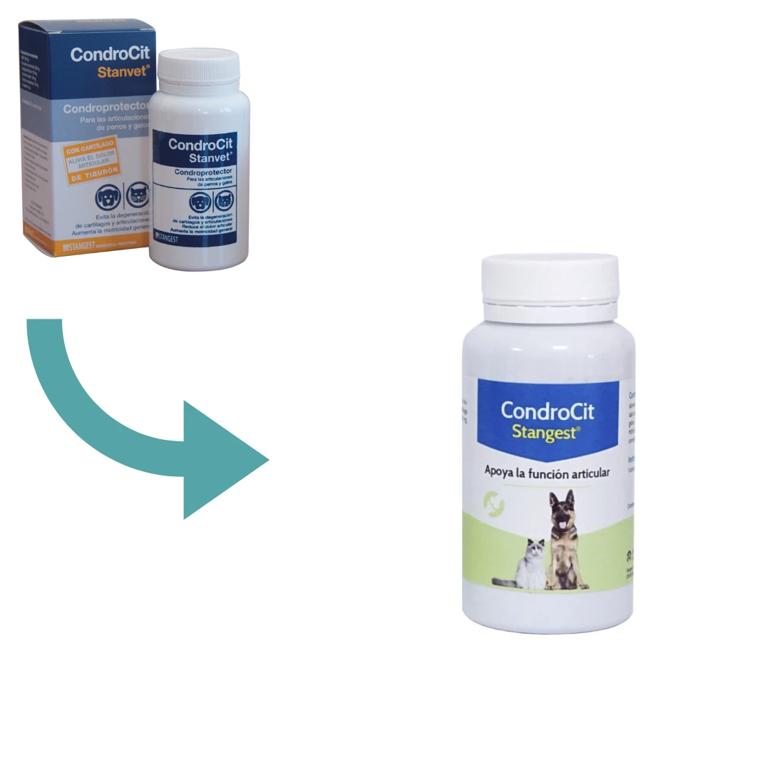 Condroproctector para perros y gatos Condrocit Condroproctector Para Perros Y Gatos Condrocit -Bravery Tienda CondroCit 60 6477959d1b3b8