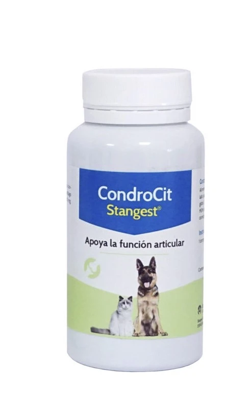 Condroproctector para perros y gatos Condrocit Condroproctector Para Perros Y Gatos Condrocit -Bravery Tienda Condrocit 60 comp 8436020787614 2 647795ee13cfe