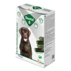 Dental B 4 Dental B -Bravery Tienda Dental B Large 6487608b878ee