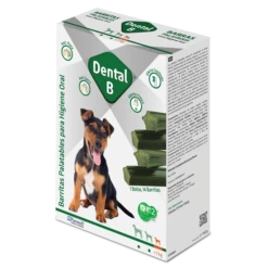Dental B