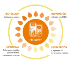 Heliovet Crema Fotoprotector FPS50+ -Bravery Tienda Esquema Heliovet 510x463 62b95a4ee9b90