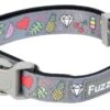 Fuzzyard Collar De Neopreno Coachella -Bravery Tienda FZ3570 2 Collar Neo Coachella 1024x1024 62c2a88eeaa56