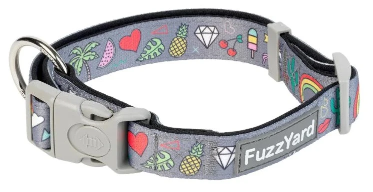 Collar de Neopreno Coachella Fuzzyard Collar De Neopreno Coachella -Bravery Tienda FZ3570 2 Collar Neo Coachella 1024x1024 62c2a88eeaa56