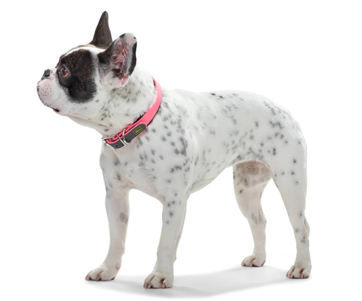 Collar Convenience para perros color Turquesa Hunter Collar Convenience Para Perros Color Turquesa -Bravery Tienda HU63084 HU63090 HU63096 HU63102 HU63108 2 62ac60aebbe62