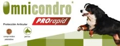 Omnicondro ProRapid -Bravery Tienda Hifarmax Omnicondro ProRapid 62a2eca867e7e