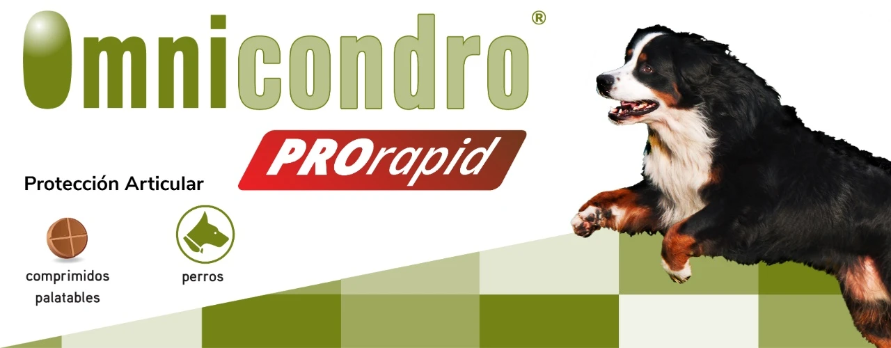 Omnicondro ProRapid Omnicondro ProRapid -Bravery Tienda Hifarmax Omnicondro ProRapid 62a2eca867e7e