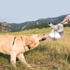 KONG Stretchezz Legz Bear Para Perros -Bravery Tienda KONG Stretchezz Legz 641994f582a85