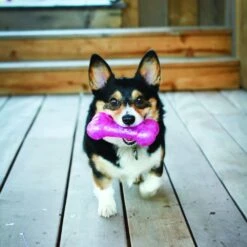 KONG Mordedor Stick Squeezz Crackle 5 KONG Mordedor Stick Squeezz Crackle -Bravery Tienda PCS1 2 1000x1000 628b83ca59325