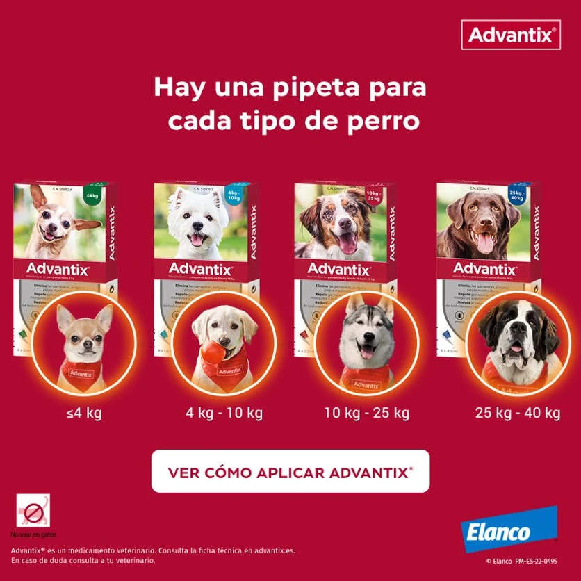 Pipetas Spot On para Perro hasta 4 kg Advantix Pipetas Spot On Para Perro Hasta 4 Kg -Bravery Tienda Pipetas para Perro de Raza 63ea6b98745b0