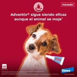 Advantix Pipetas Spot On Para Perro Hasta 4 Kg 4 Advantix Pipetas Spot On Para Perro Hasta 4 Kg -Bravery Tienda Pipetas para Perro de Raza Toy 63ea6b20a699b