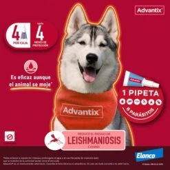 Advantix Pipetas Spot On Para Perro Hasta 4 Kg 5 Advantix Pipetas Spot On Para Perro Hasta 4 Kg -Bravery Tienda Pipetas para Perro de Raza Toy advantix 63ea6b36e22ba
