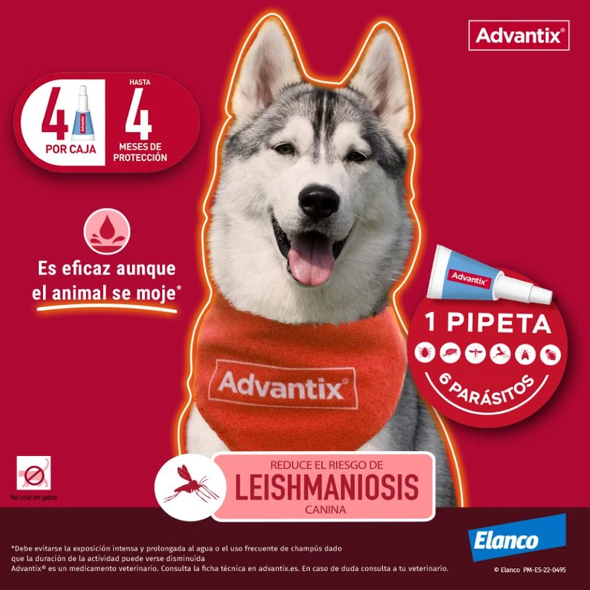 Pipetas Spot On para Perro hasta 4 kg Advantix Pipetas Spot On Para Perro Hasta 4 Kg -Bravery Tienda Pipetas para Perro de Raza Toy advantix 63ea6b36e22ba