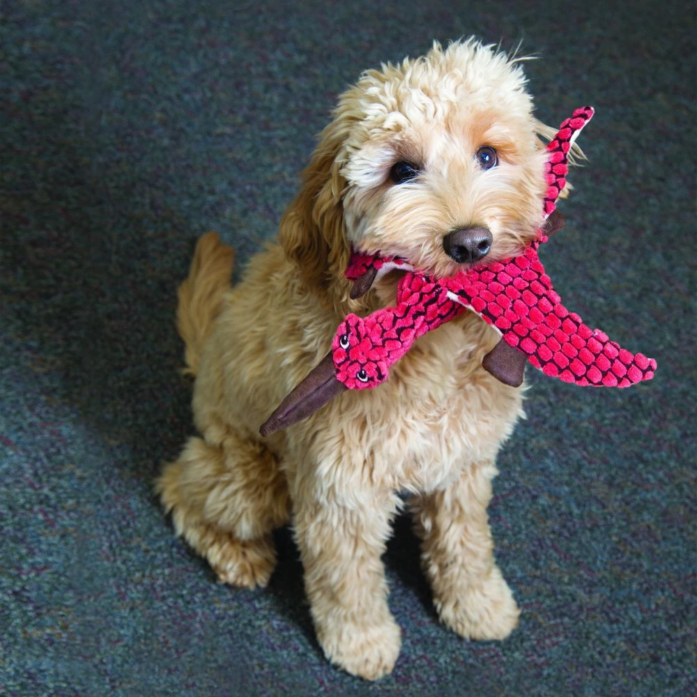 Dynos T-Rex Azul KONG Dynos T-Rex Azul -Bravery Tienda RDY11 2 1000x1000 628c868ba61af