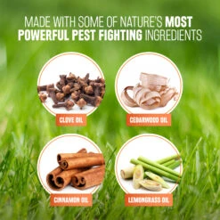 Tropiclean Spray Natural Antiparasitarios Para Perros Y Gatos -Bravery Tienda Spray Natural Antiparasitarios para Perros y Gatos 1 6357eaa1be8cb