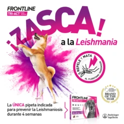 Frontline Pipetas Tri-Act Solución Spot-On Para Perros De 5-10 Kg 5 Frontline Pipetas Tri-Act Solución Spot-On Para Perros De 5-10 Kg -Bravery Tienda VisualTRI 6267f62e72c9d