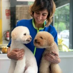 ARTERO Acondicionador Flash -Bravery Tienda WhatsApp Image 2020 07 10 at 20 04 05 2 64ec84fc928b1