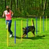 Agility Slalom -Bravery Tienda agility slalom 1