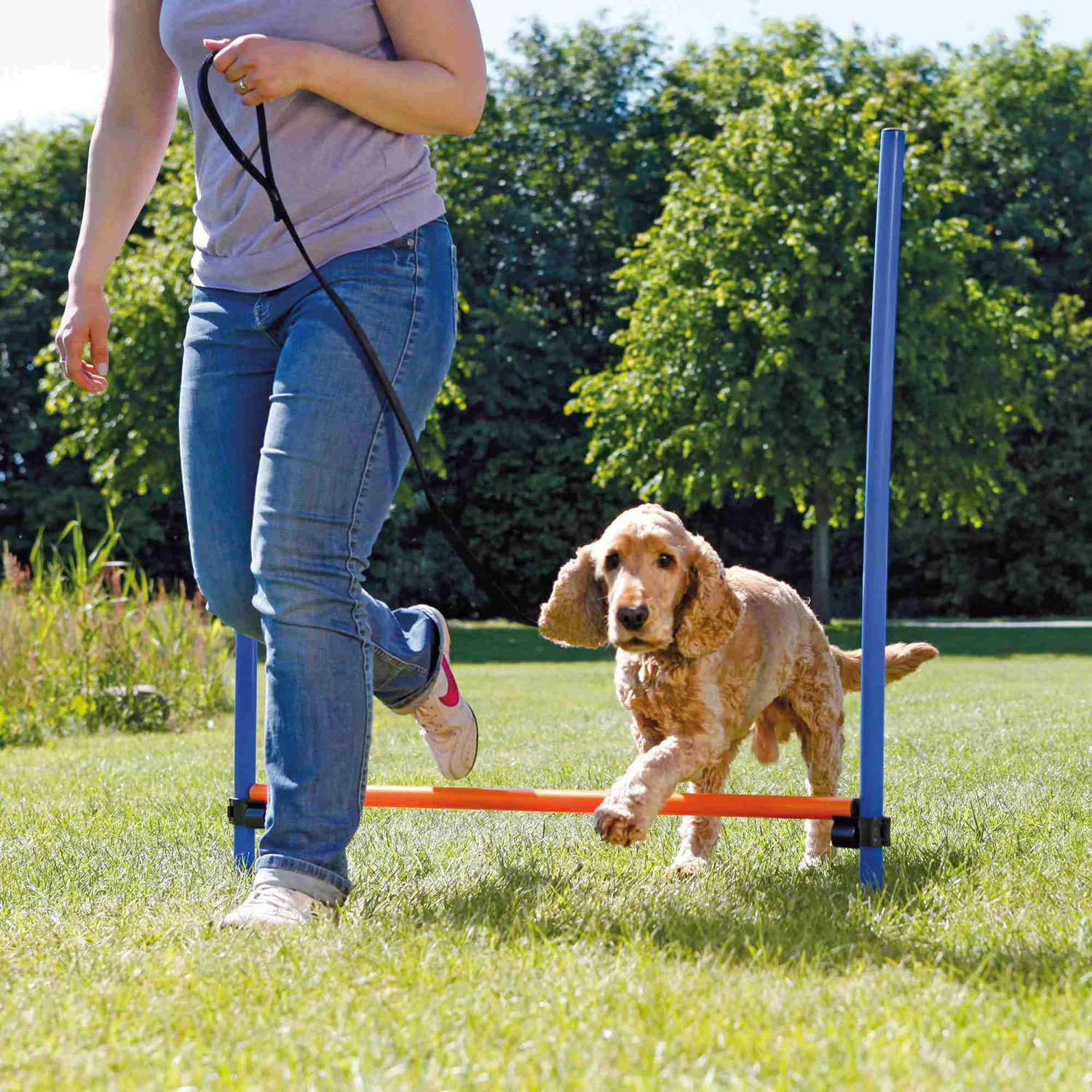 Valla de agility para perros Trixie Valla De Agility Para Perros -Bravery Tienda agility vallas 64b93b0772570