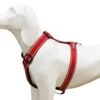 Arnés Comfort Reflectante Para Perros