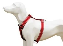 Arnés Comfort Reflectante Para Perros