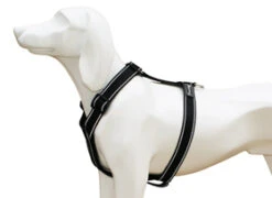 Arnés Comfort Reflectante Negro Para Perros