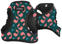 Arnés Confort Dinosaurios