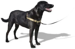 Virbac Pipetas Effipro Duo Spot On Antiparasitario Para Perros De 20 A 40 Kg (268 Mg/80 Mg) -Bravery Tienda arnes de adiestramiento antitrones sense ation soft mini 3