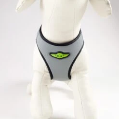 Arnés The Mandalorian Para Perros 6 Arnés The Mandalorian Para Perros -Bravery Tienda arnes para perros the mandalorian 5 5