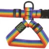 Petral Arcoiris -Bravery Tienda arnes rainbow 25 mm 1