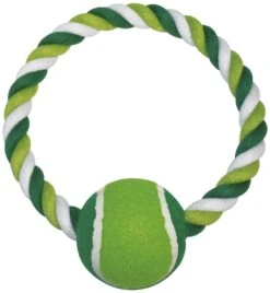 Aro Dental Menta Con Pelota